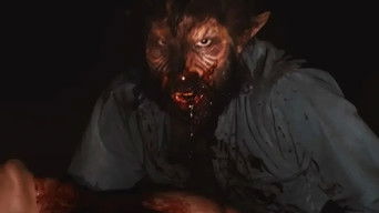 Galeria 3 - Blackout