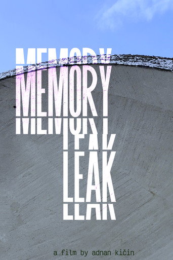 Memory Leak (2025)