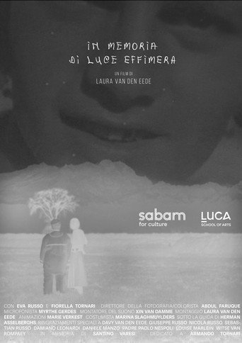 In Memoria di Luce Effimera