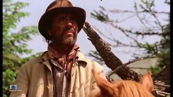 Atkins (1985)