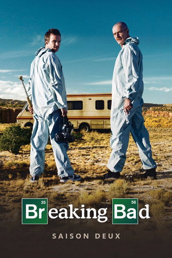 Breaking Bad - S2 - Épisode 9 : Seuls au monde - Affiche