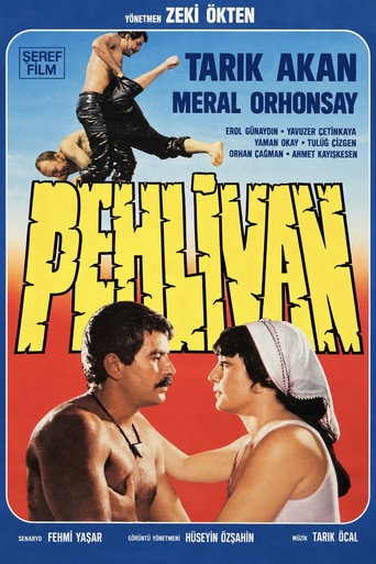 Poster Pehlivan