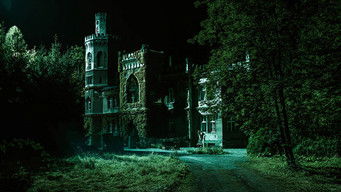 Galeria 2 - Perros de presa