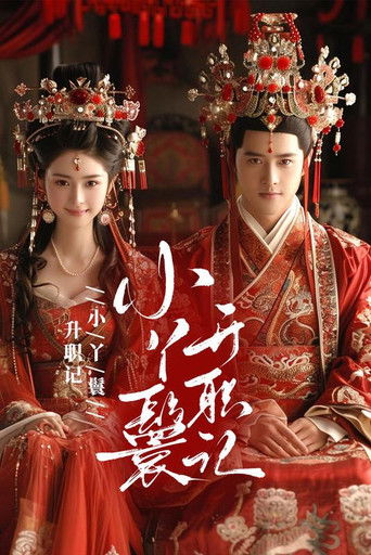 小丫鬟升职记 poster