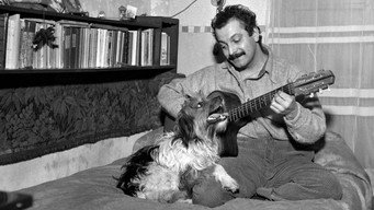Le regard de Georges Brassens (2011)