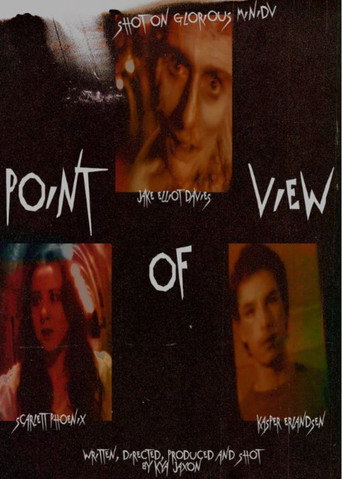 Point of View