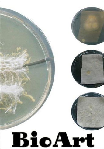 bioArt - Art From the Laboratory poster