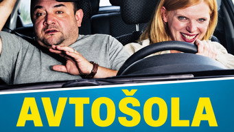 Driving School (2014)