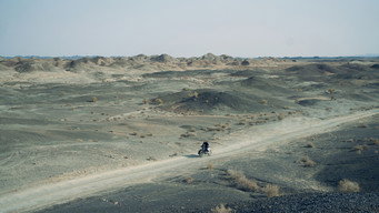 #21 Чорний пес