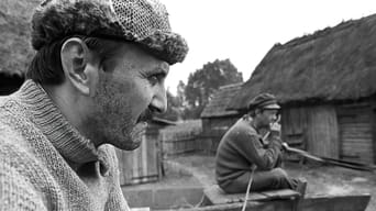 The Linnet (1982)