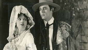 Serenade media image