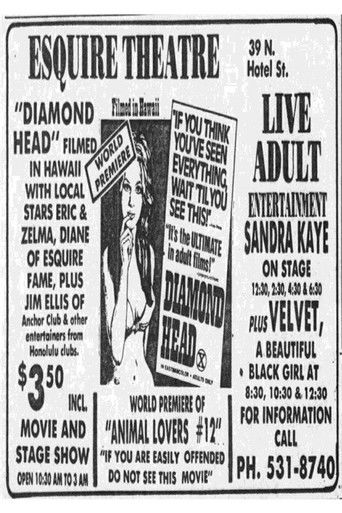 Diamond Head poster 2