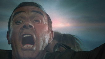 Galeria 4 - Nunca digas nunca jamás