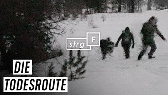 Episode 199