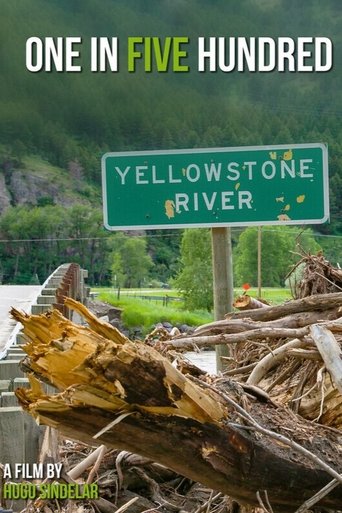 One in Five Hundred poster