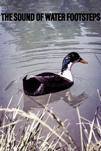 The Sound of Water Footsteps