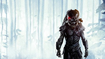 #17 Хижаки