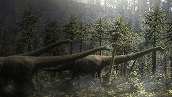 #4 Top 10 Biggest Beasts Ever