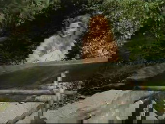 Imagem do episódio