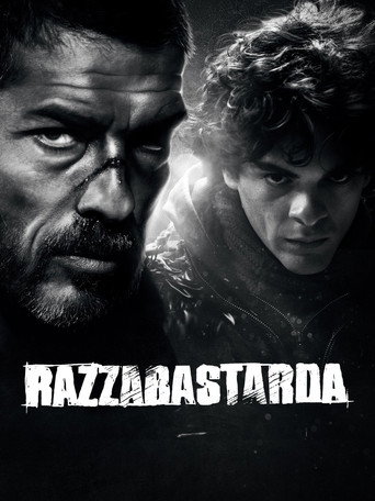 Poster 3