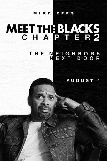 The House Next Door: Meet the Blacks 2 Poster