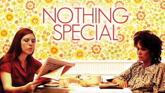 Nothing Special (2010)