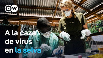 Can future pandemics be prevented?