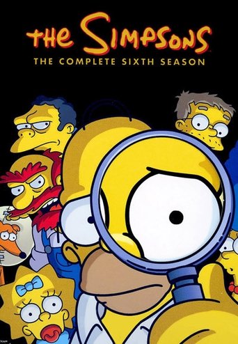 Simpsonai / The Simpsons (1994) 6 Sezonas