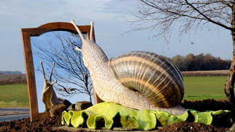 Roundabout Art (2019)