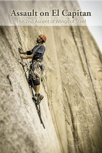 Assault on El Capitan (2013)