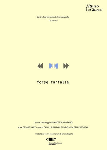 Forse farfalle (2026年)のポスター画像 - FindKey