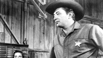 Man with the Gun (1955)