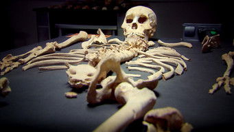 Episode 2 — Ghosts of The Crusades