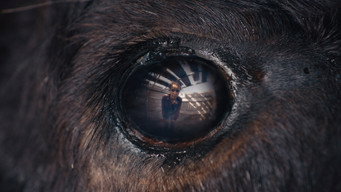#5 Animale
