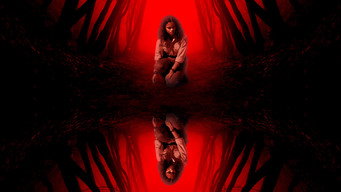 Uma Floresta Misteriosa