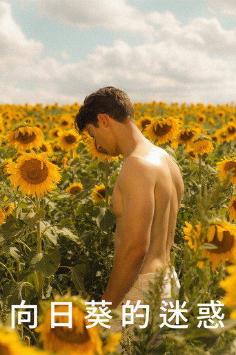 Sunflower — Pôsteres 17