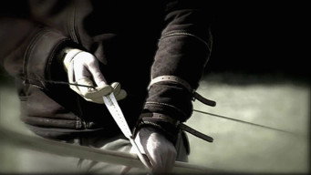 The Legend of Robin Hood