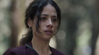 Episode 7 — Episode 7