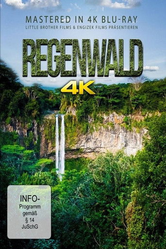 Rainforest poster