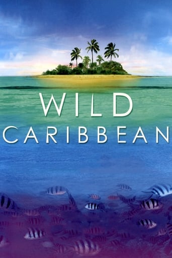 Wild Caribbean