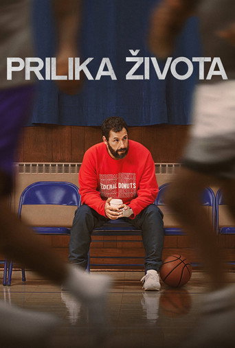 Прилика живота