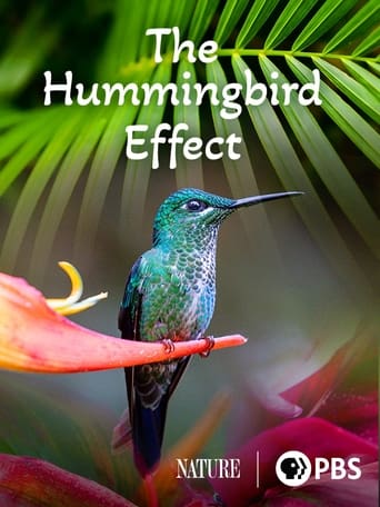 Poster of The Hummingbird Effect