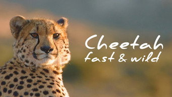 Episode 12 — Cheetah: Fast and Wild