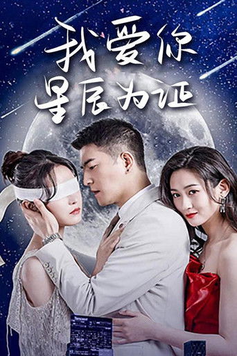 我爱你，星辰为证 poster