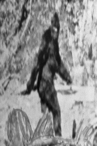 Untitled Sasquatch Film