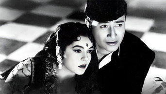 Ziddi media image