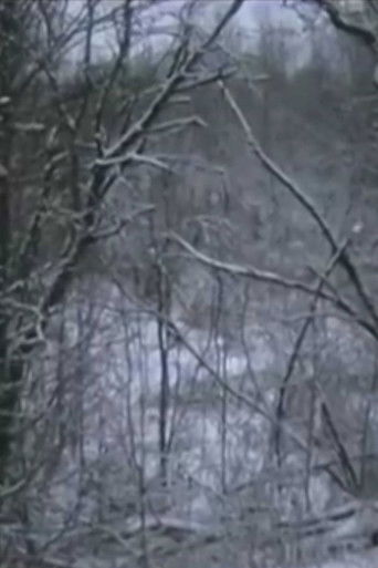 sonar_erosion poster