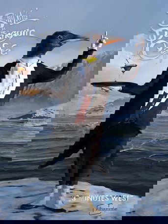 'Still Life' at the Penguin Café (1970)