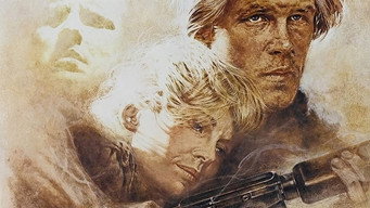 Хто зупинить дощ (1978)