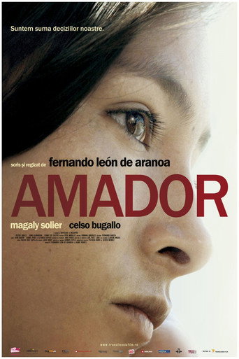 Poster 7